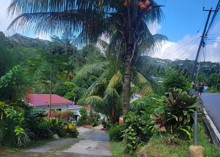 Papayas Self Catering Room
