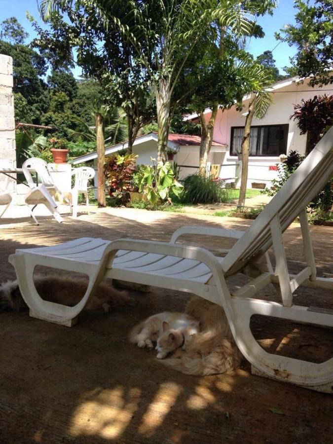 Papayas Self Catering ויקטוריה