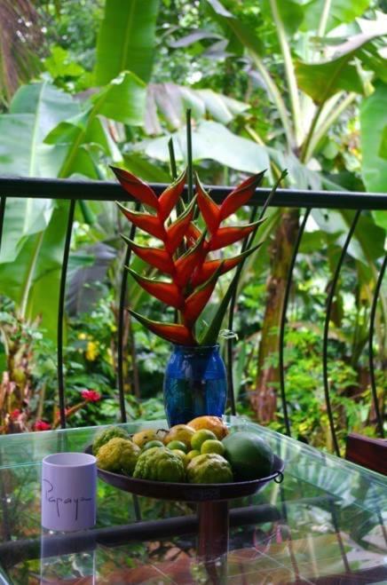 Papayas Self Catering * ויקטוריה
