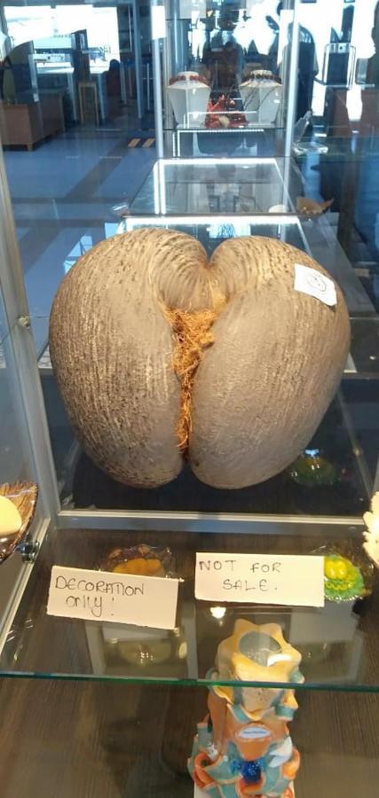 Papayas Self Catering בית אירוח ויקטוריה