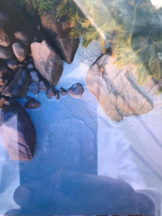 Papayas Self Catering בית אירוח ויקטוריה